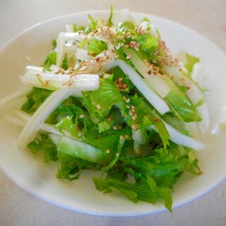 白菜とワサビ菜の和風サラダ